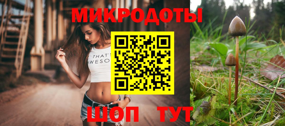 Галлюциногенные грибы ЛСД Тара
