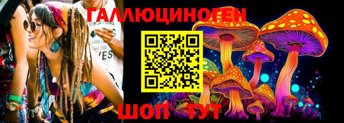 Псилоцибиновые грибы Psilocybine cubensis  Вход с VPN  Тара 